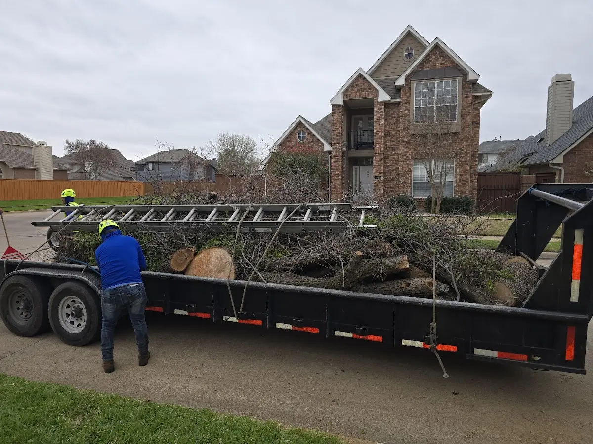 Expert Crown Reduction with proper safety equipment in Round Rock